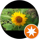 クサーツ1 profile picture